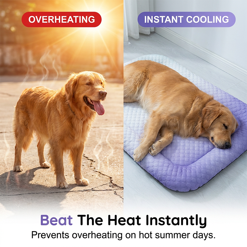 ⏰LAST DAY SALE ONLY￡7.99!!❄Pet Cooling Mat for Dogs & Cats 🐾 Naturally Cool Ice-Silk Pad • Breathable, Washable & Soft 🌿 For Floors, Sofas & Car Travel • Multiple Sizes • Gradient Colours ☀️🐶🐱