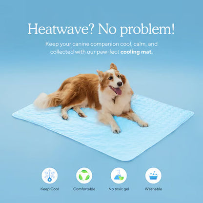 🌞Summer Hot Sale 49% OFF🧊Premium Cooling Mat For Pet