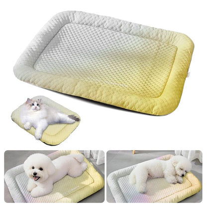 ⏰LAST DAY SALE ONLY￡7.99!!❄Pet Cooling Mat for Dogs & Cats 🐾 Naturally Cool Ice-Silk Pad • Breathable, Washable & Soft 🌿 For Floors, Sofas & Car Travel • Multiple Sizes • Gradient Colours ☀️🐶🐱