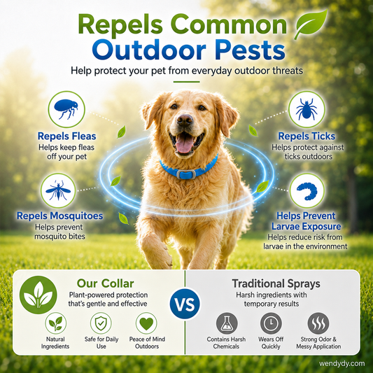 ❌🐞Summer Hot Sale 49% OFF🍃Natural Essential Oil Pet Pest Repellent Collar