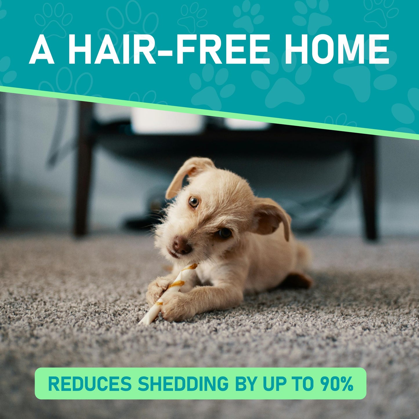 🔥Last Day 50% OFF🔥Professional Double-Sided Pet Grooming Rake ✨ Undercoat Deshedding Tool for Dogs & Cats 🐶🐱
