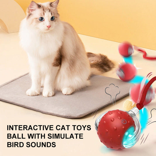 Interactive Cat Toys Ball with Simulate Bird Sounds