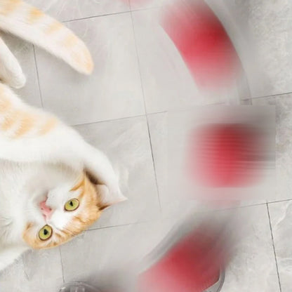Interactive Cat Toys Ball with Simulate Bird Sounds