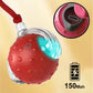 Interactive Cat Toys Ball with Simulate Bird Sounds