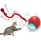 Interactive Cat Toys Ball with Simulate Bird Sounds