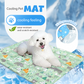 Durable Cartoon Cooling Pet Mat