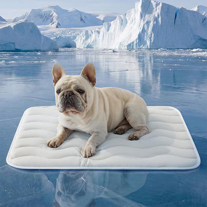 ❄️2026 Summer Hot Sale 50% OFF🧊PawDew™ for Dogs & Cats – Vet-Approved Ice-Silk Cooling Pad ❄️ | Q-MAX >0.4 | Washable 🧼, Non-Slip 🛟 | Perfect for Large Breeds & UK Summers ☀️🇬🇧