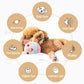 🥰Hot sale 50% OFF🎁Bouncing Piggy Interactive Dog Toy🐕
