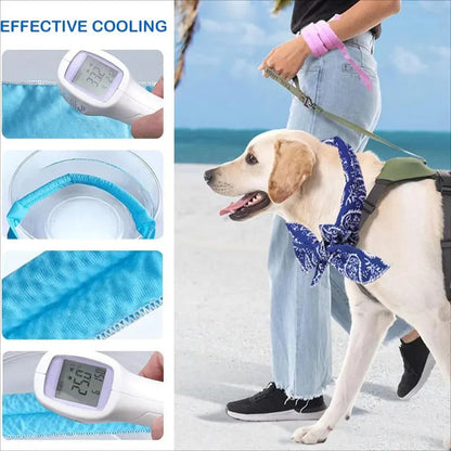 ⏳LAST DAY SALE ONLY ￡6.99!!🎀PipPaw™ Cooling Collar – Summer Relief for Dogs & Cats 🌞❄️  Vet-Safe • Reusable • No Freezer Needed • Made for British Heatwaves!