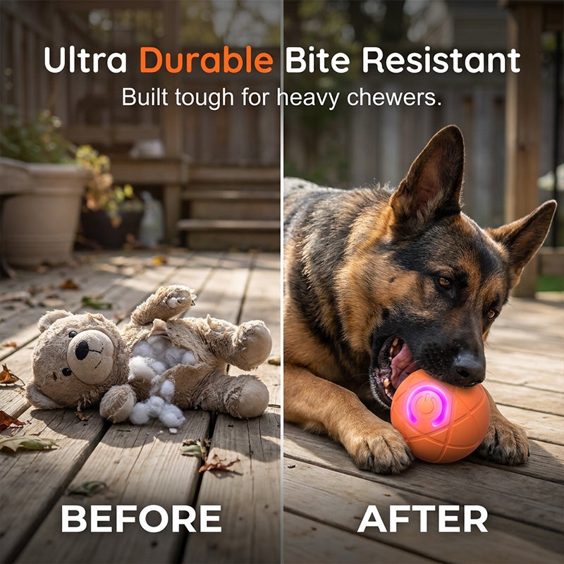 🐾 50% OFF NOW! ⏰Auto Bouncing Smart Pet Ball