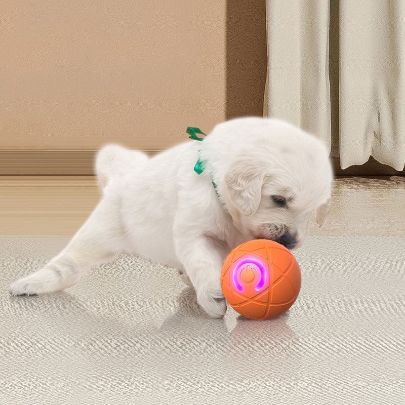 🐾 50% OFF NOW! ⏰Auto Bouncing Smart Pet Ball