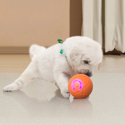 🐾 50% OFF NOW! ⏰Auto Bouncing Smart Pet Ball