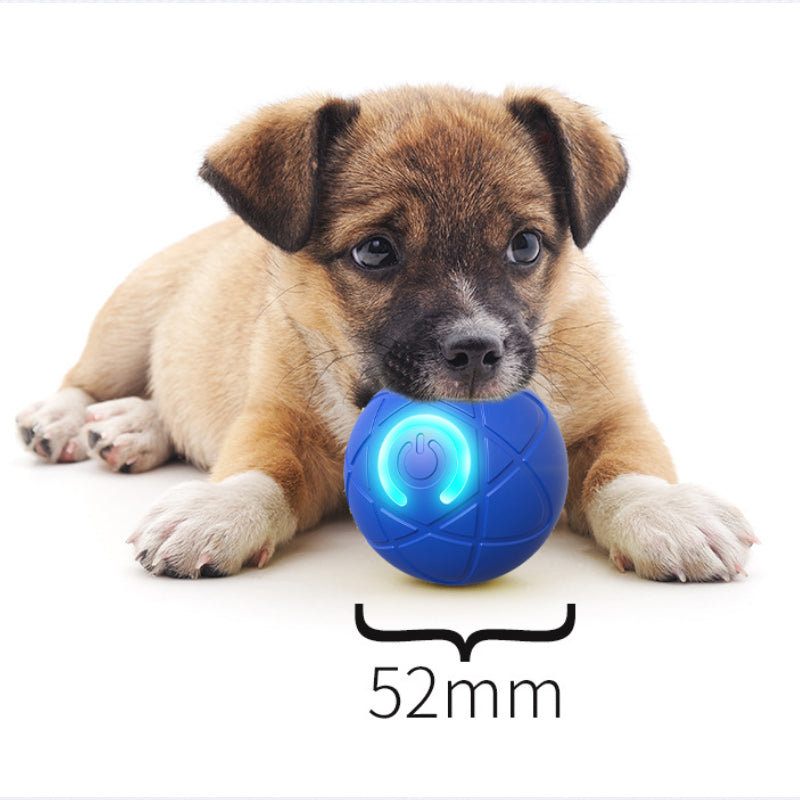 🐾 50% OFF NOW! ⏰Auto Bouncing Smart Pet Ball